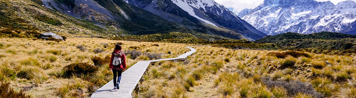 Investing in New Zealand Guide